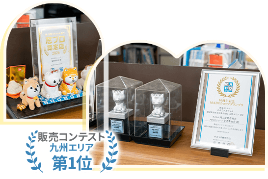 販売コンテスト 九州エリア 第1位